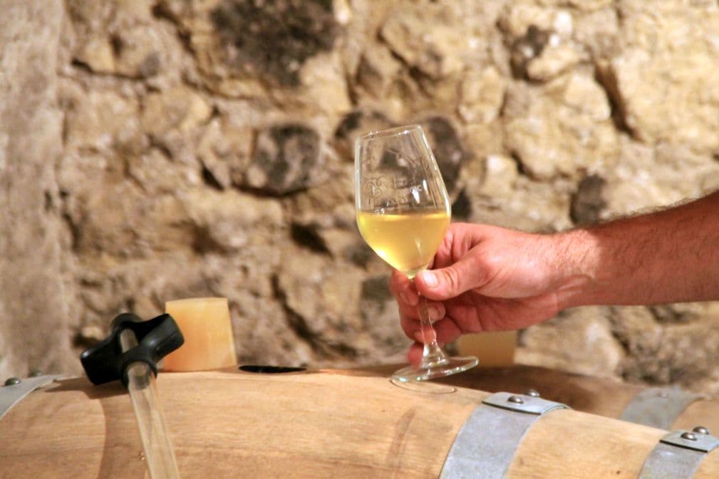 Autour de Monbazillac_Château Haut Bernasse (104)_2