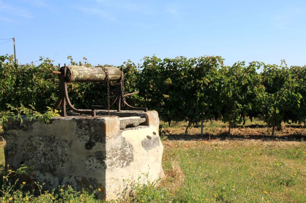 Autour de Saussignac_Château Les Ganfards (12)_2
