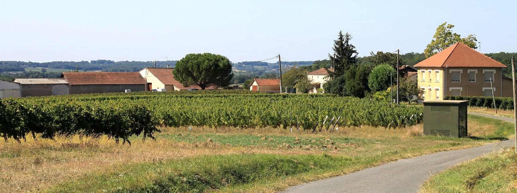 Autour de Saussignac_Château Les Ganfards (54)_2