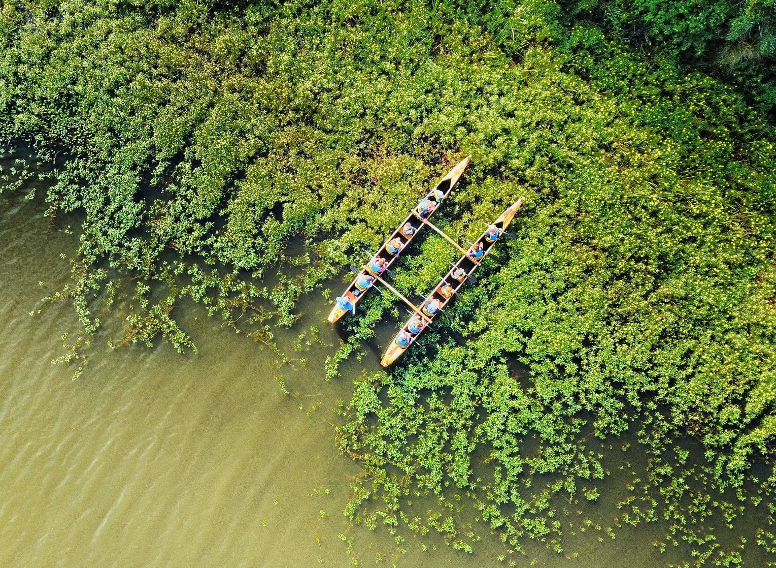 Au cœur de la nature