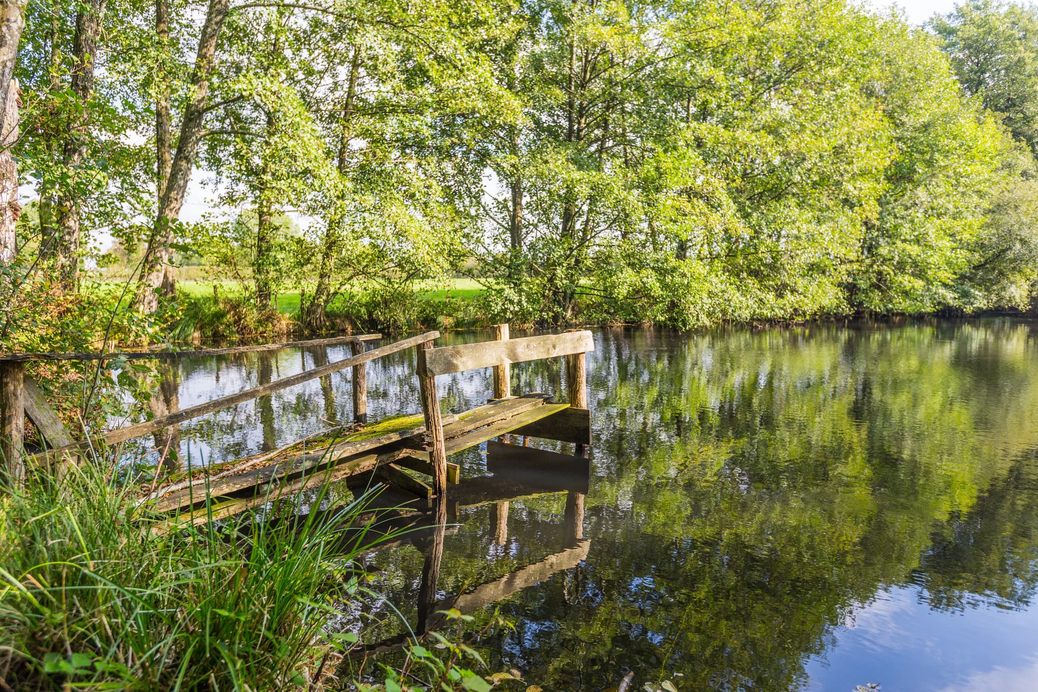 etang