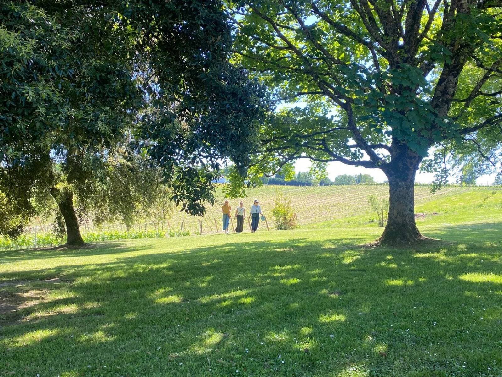 Parc du château Thieuley