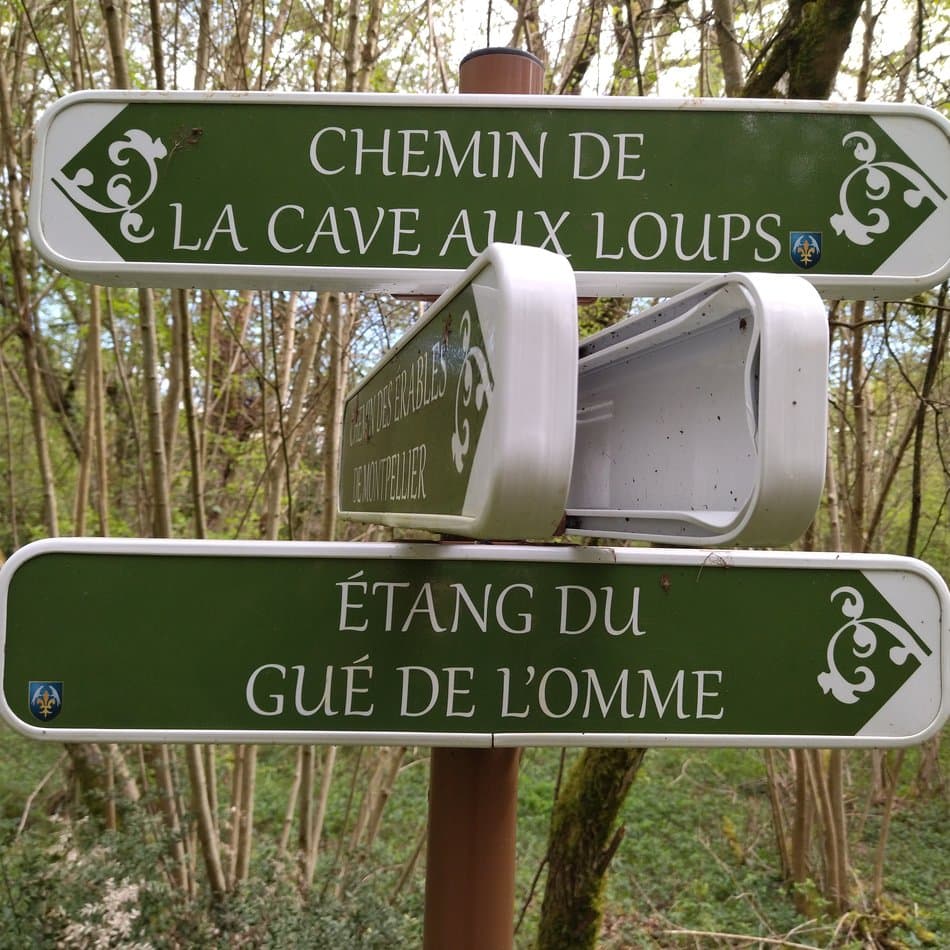 Bois de la garenne (5)