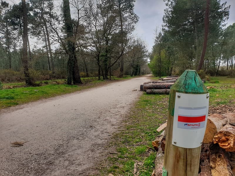 Bois du Peugue 2