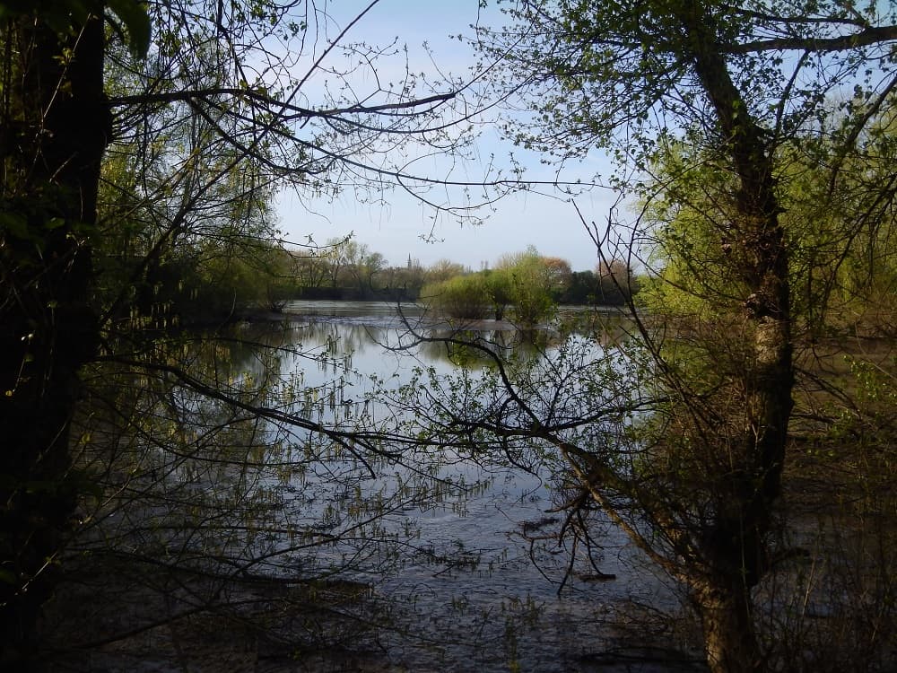 Bord de Garonne St Mac