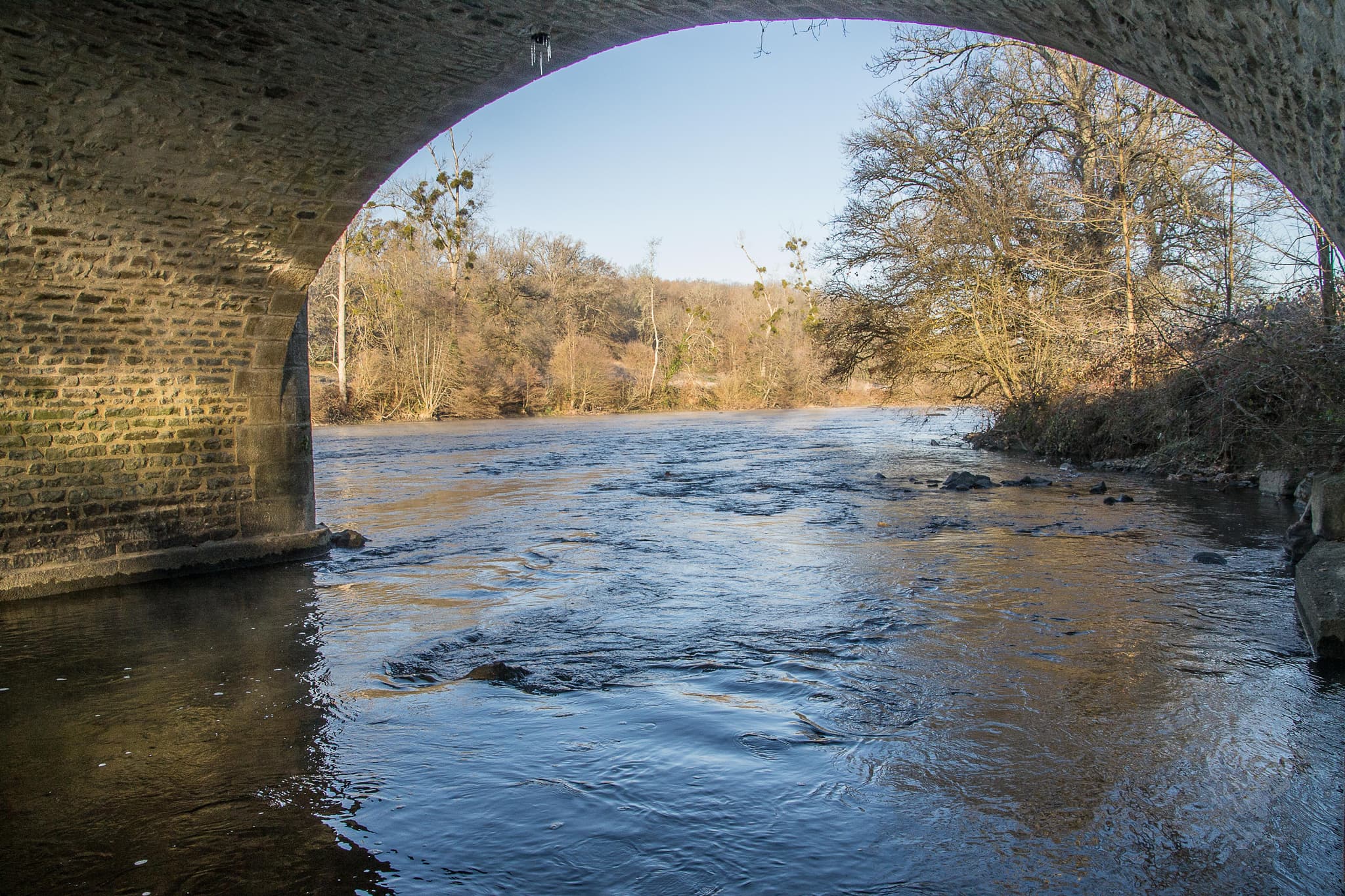 Bords de Vienne vers Pont Gabie - Dec 2016 © Laetitia Chabernaud (7)