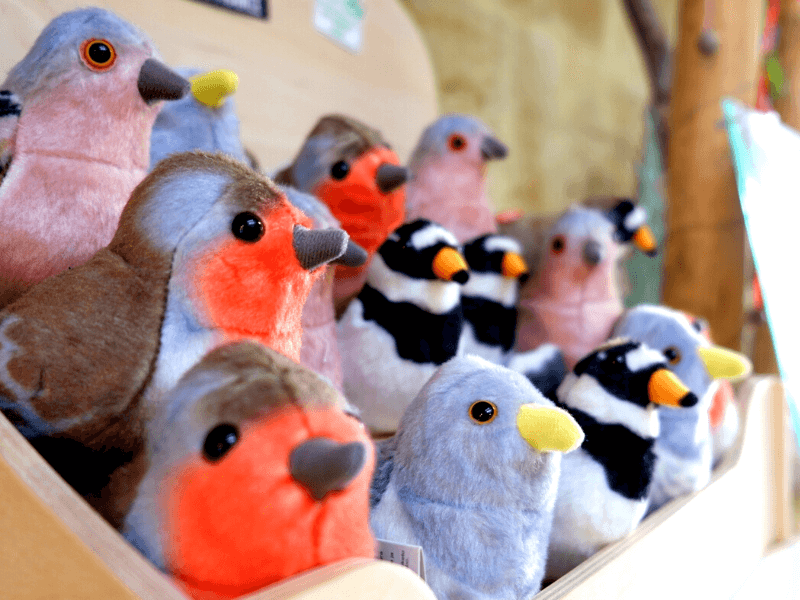 Boutique Estuaire Tourisme & Terres d'Oiseaux 800x600