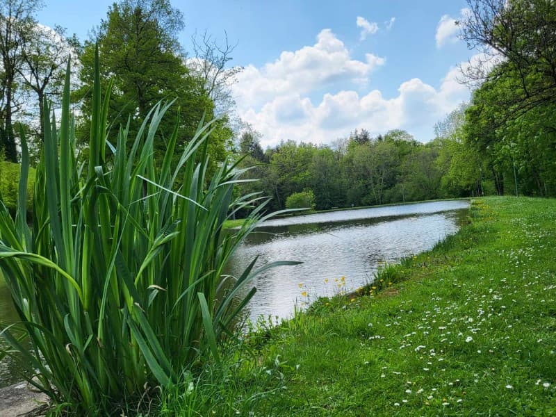 Busserolles - Étang