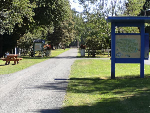 Camping municipal_2