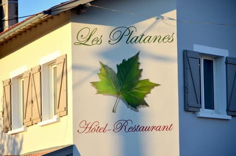 platanes
