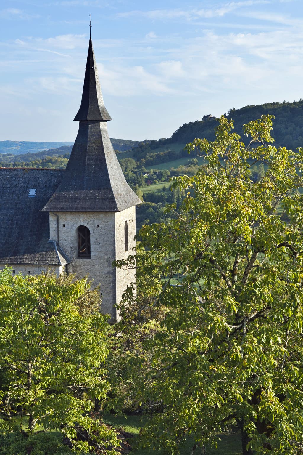 Collégiale Notre-Dame Saint-Pantaléon_2