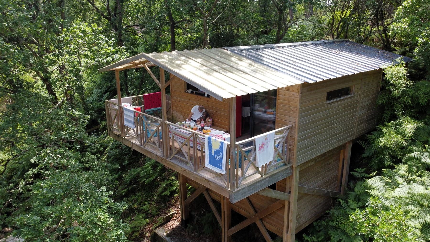Cabanes perchées dans les arbres