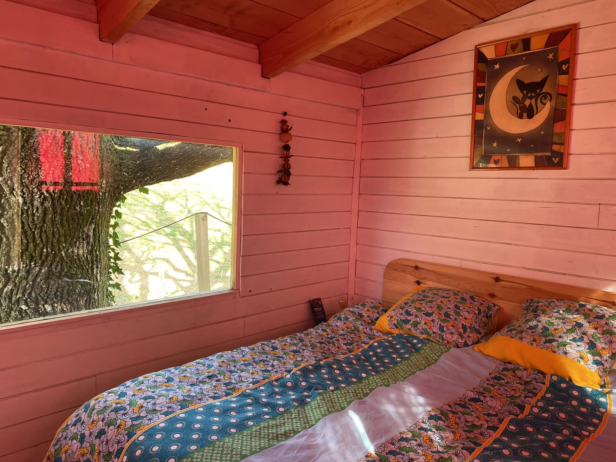 Cabane_sous_chêne_2