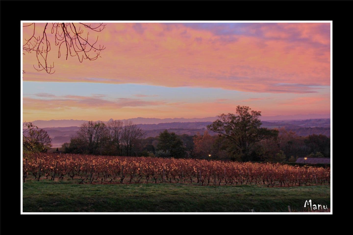 Cabidos et ses vignes 1