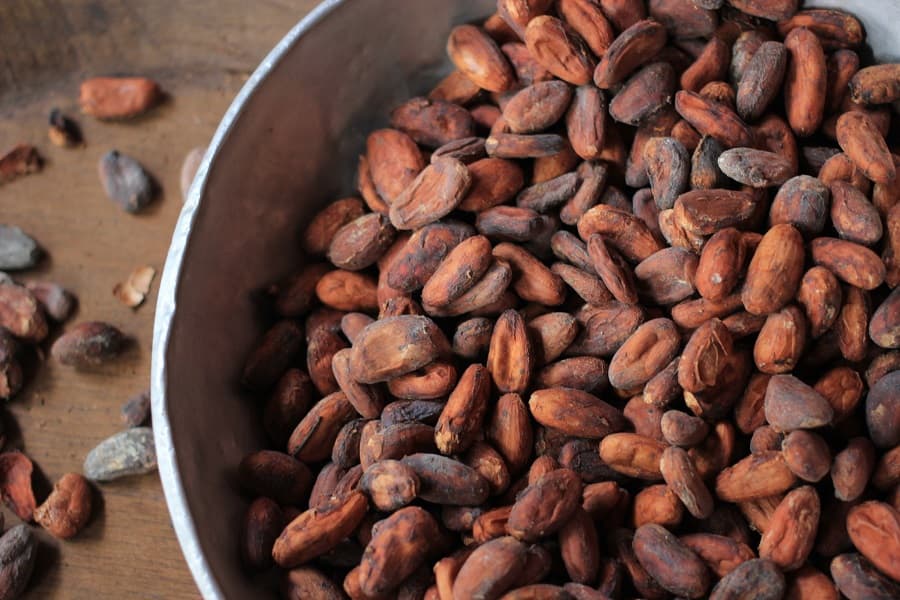 Cacao