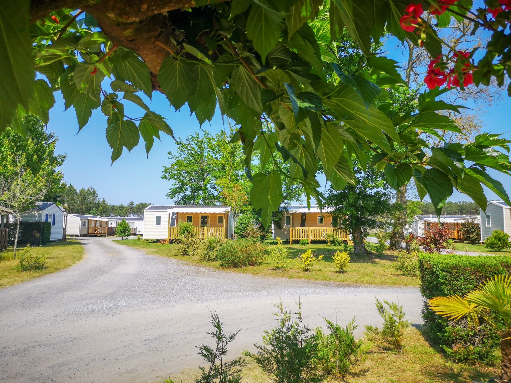 Camping-Azur-Landes-atlantique-sud--3--2
