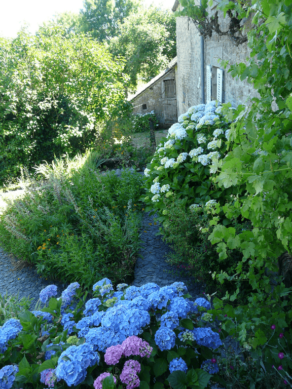 Jardin fleuri