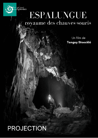 Espalungue, le royaume des chauves-souris