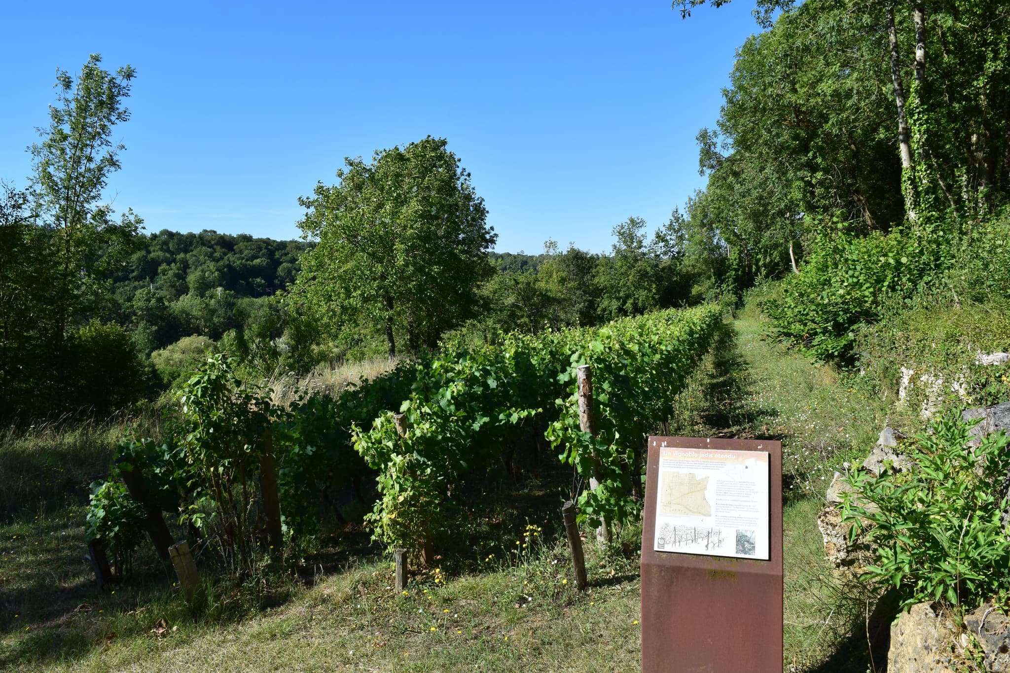 Carrière de Ricou, Azay-le-Brûlé (79)