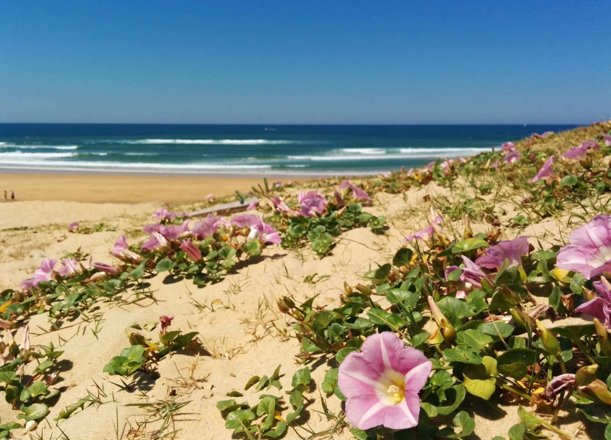 Plage des Casernes