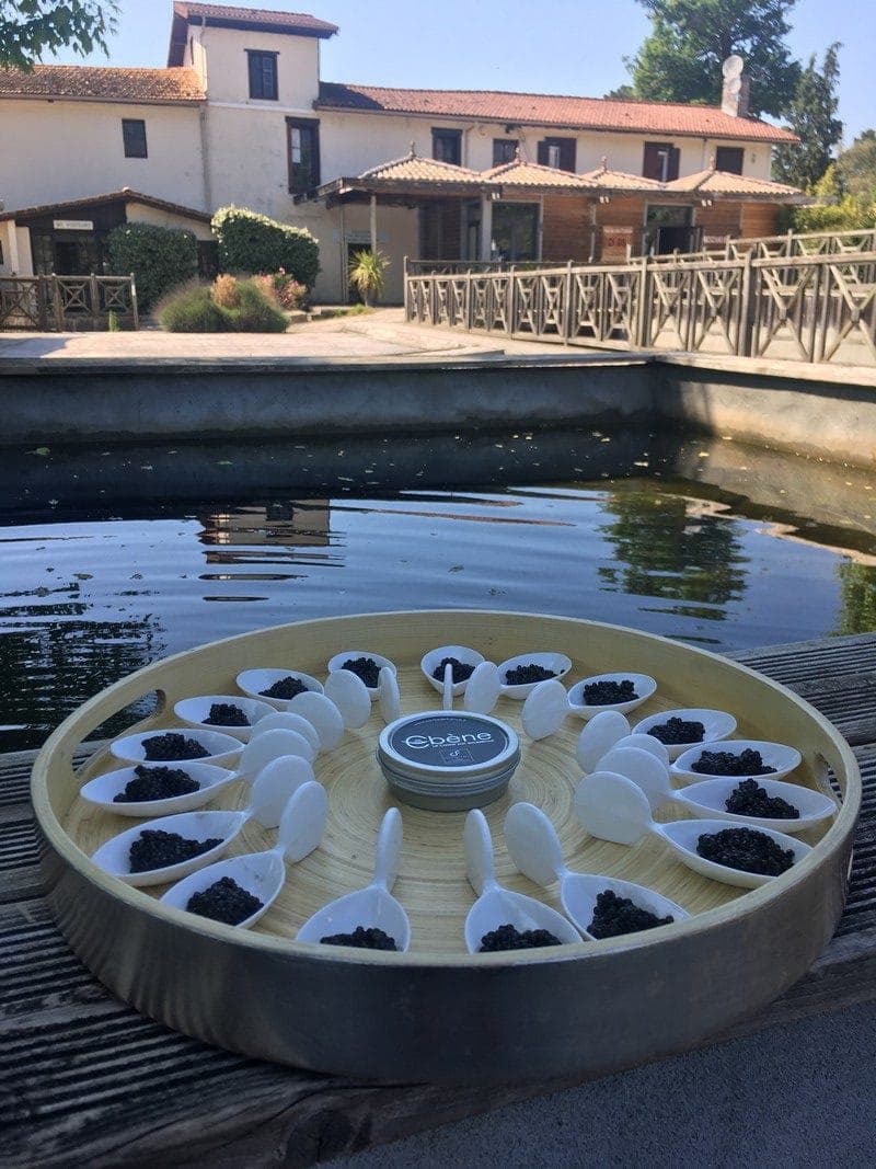 Caviar de France 2022
