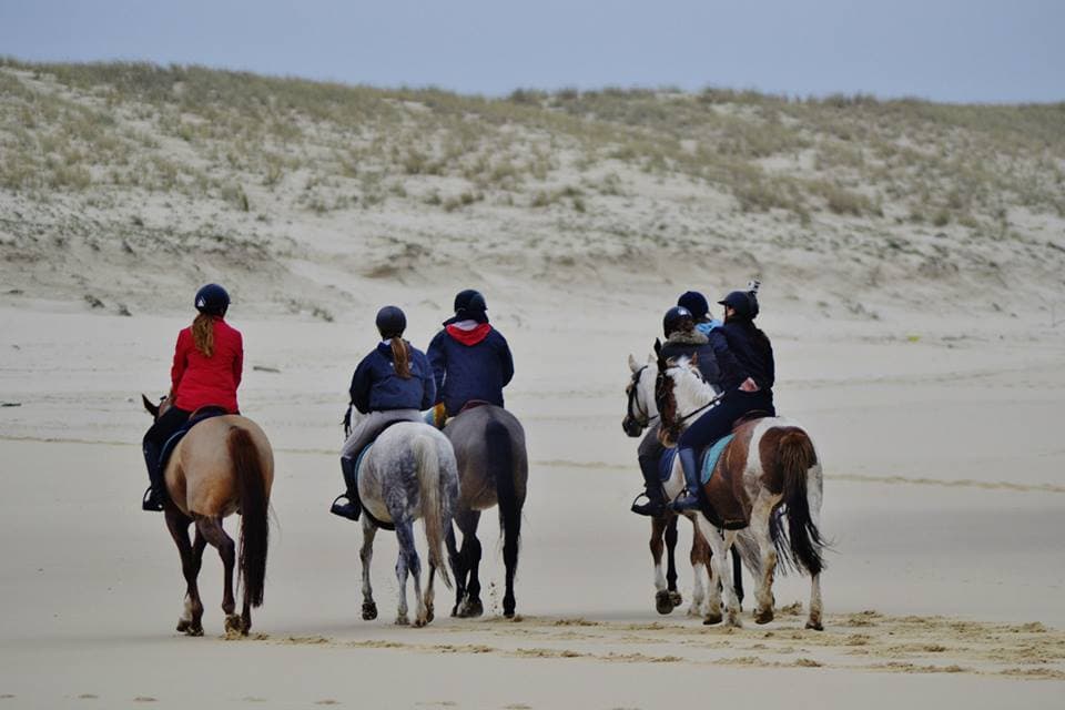 Centre_Equestre-TrucVert (15)