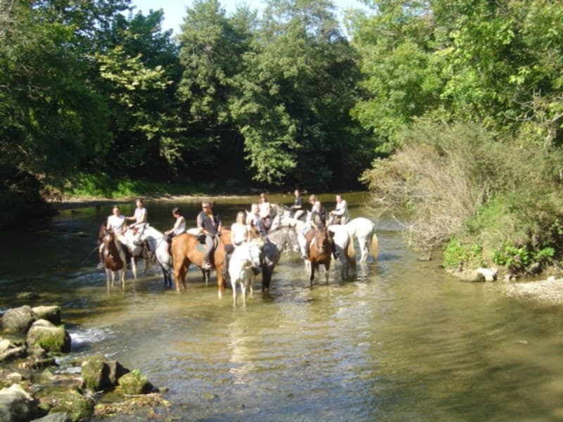 Centre equestre Came 2
