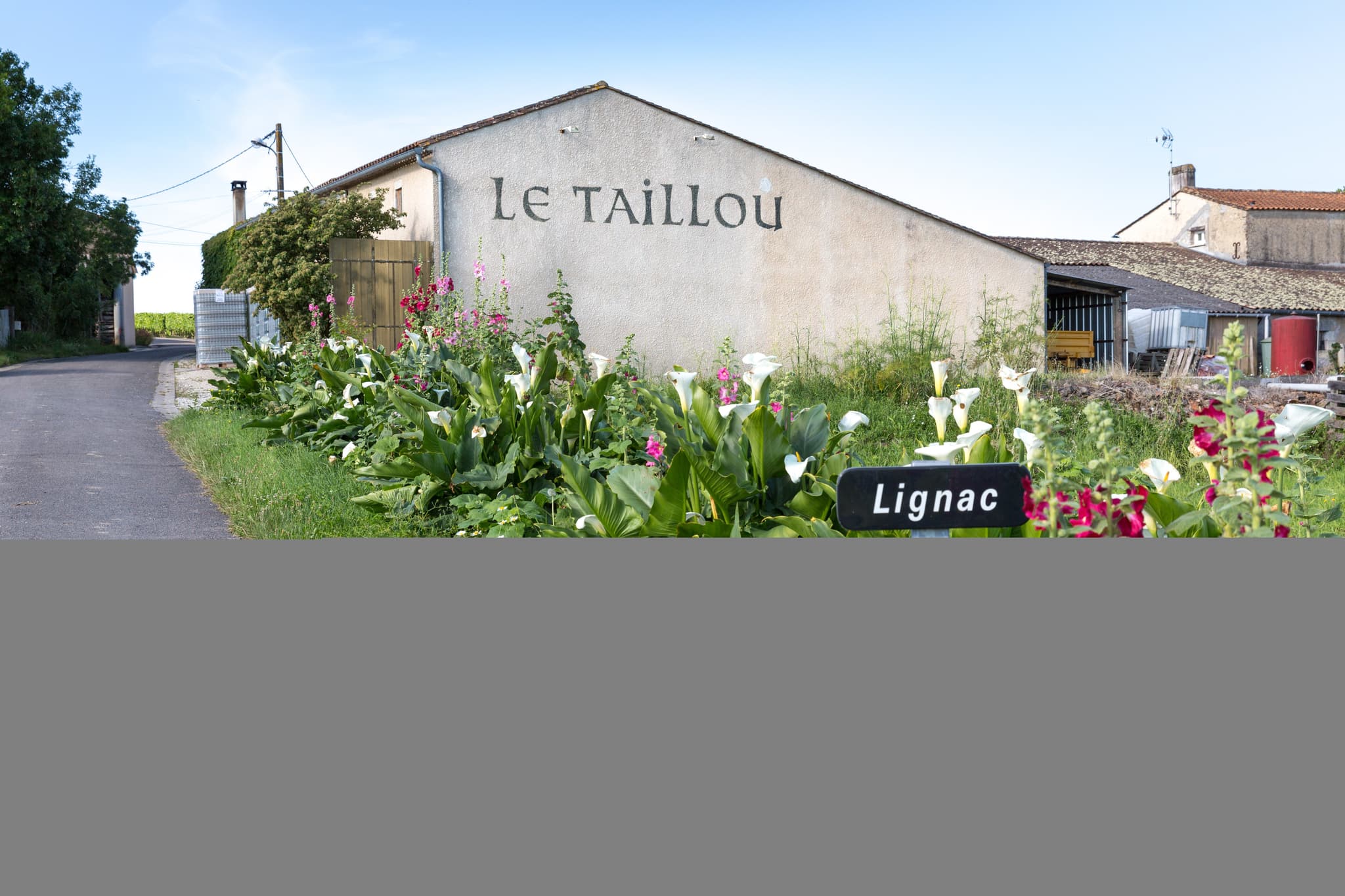 Château Le Taillou-HD--«Corinne Couette -2