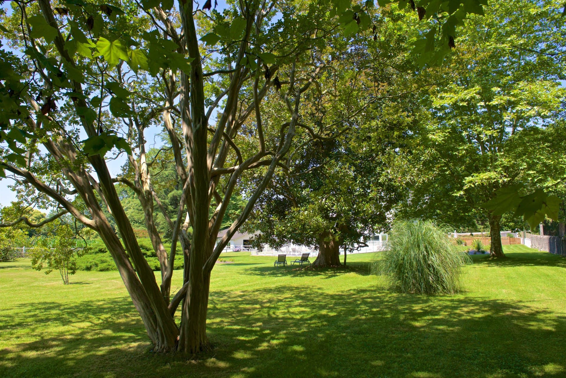 Chambre d'Hôtes Domaine Pédelaborde - Parc (Odile Civit)