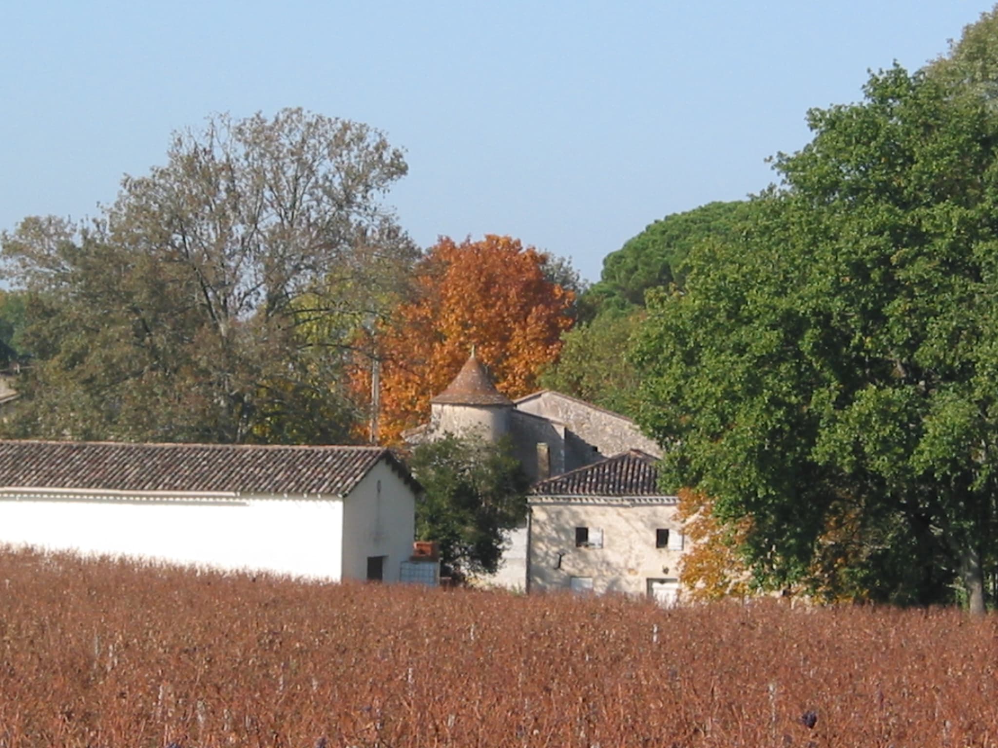 Château Font-Vidal - Vue de côté