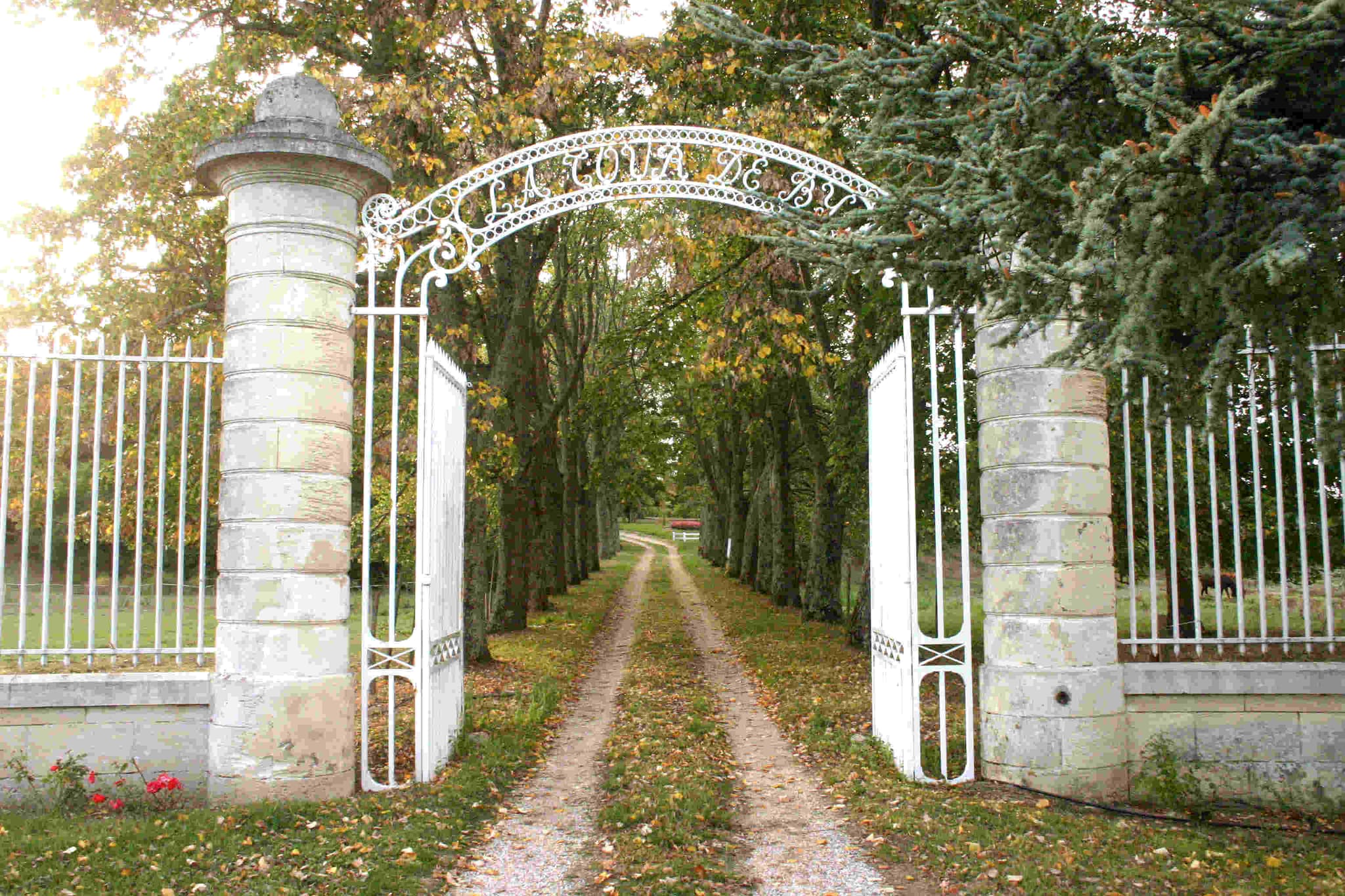 château La Tour de By 2