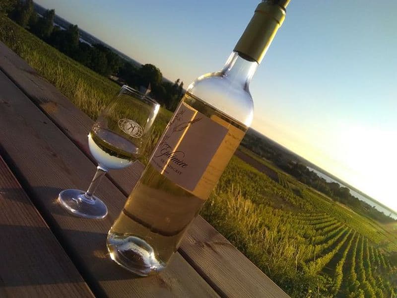 Wine & sunset au Chateau Saincrit
