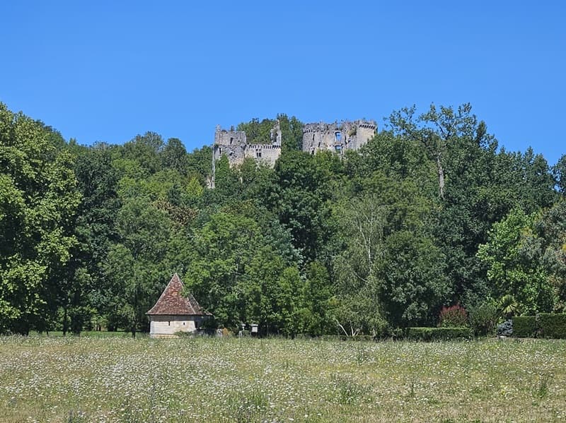 Château de Bruzac de loin