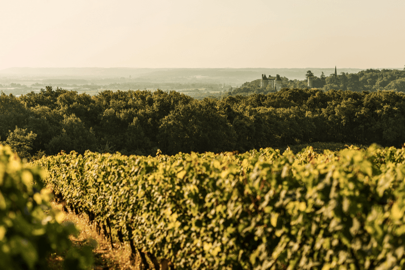 Chateau-de-Buzet