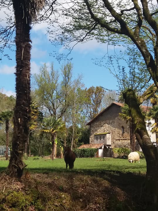 ChateauStMartin05-Pouillon-ChateauStMartin