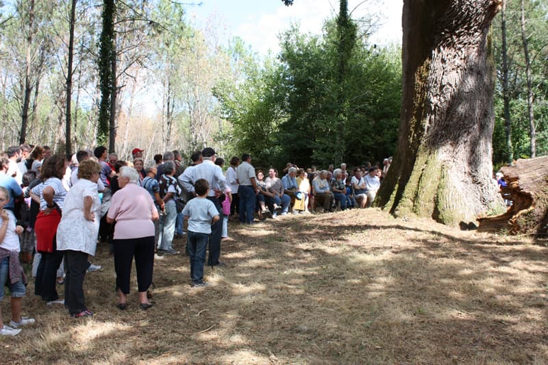 Chene deNERTHE 2010 002