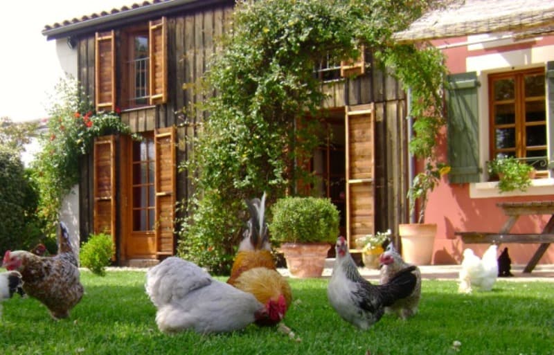 Chez Véro et Thomas 1