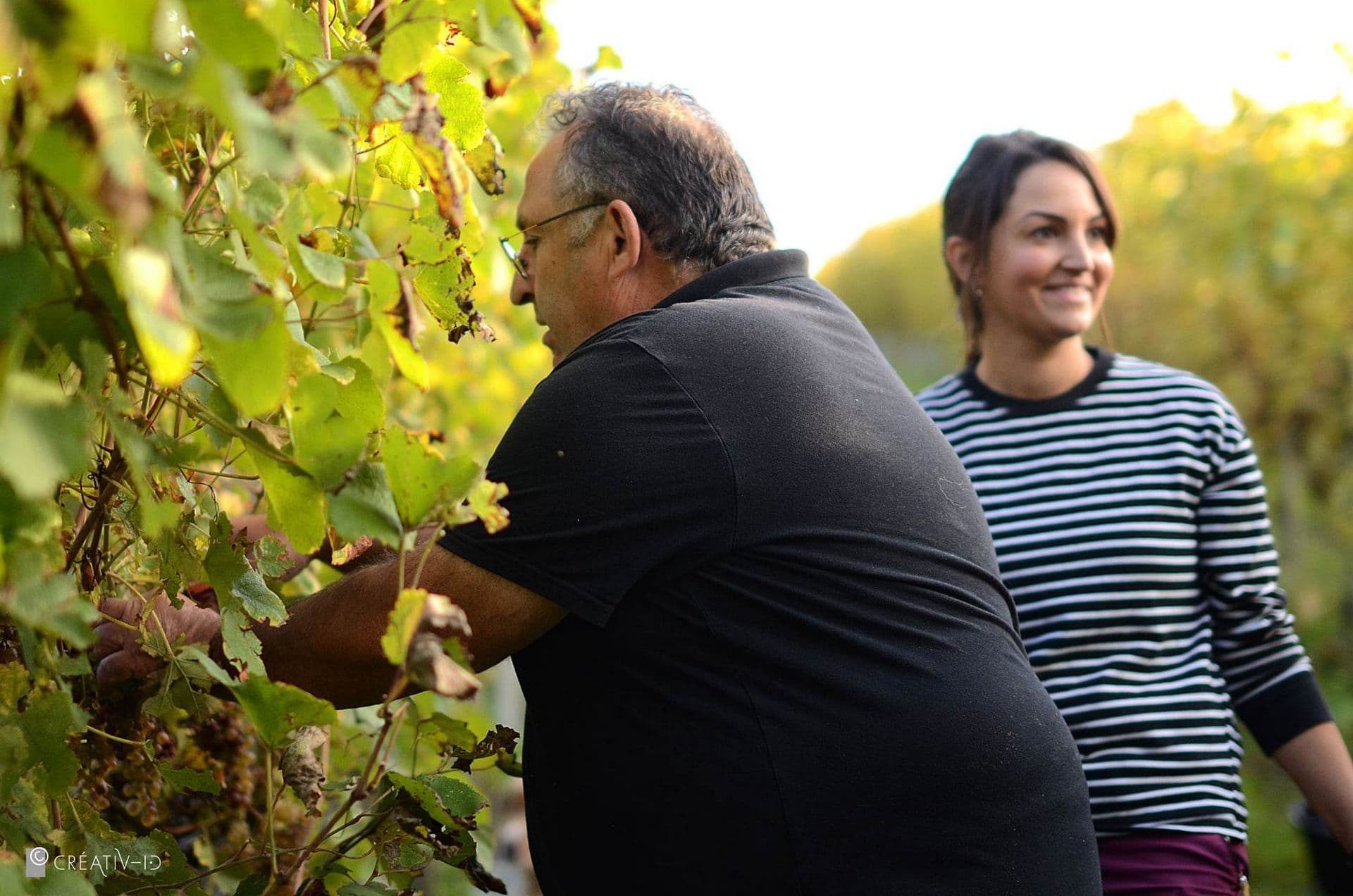 Clos Laplume