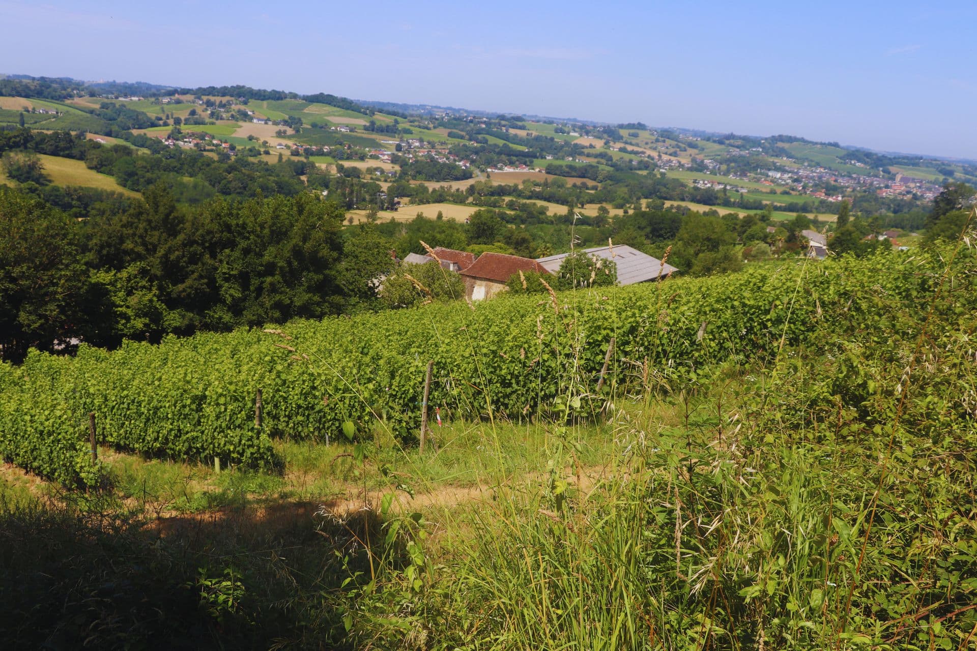 Domaine Peyrette vignoble jurancon cuqueron