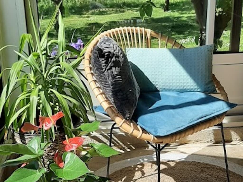 Coin-repos-5