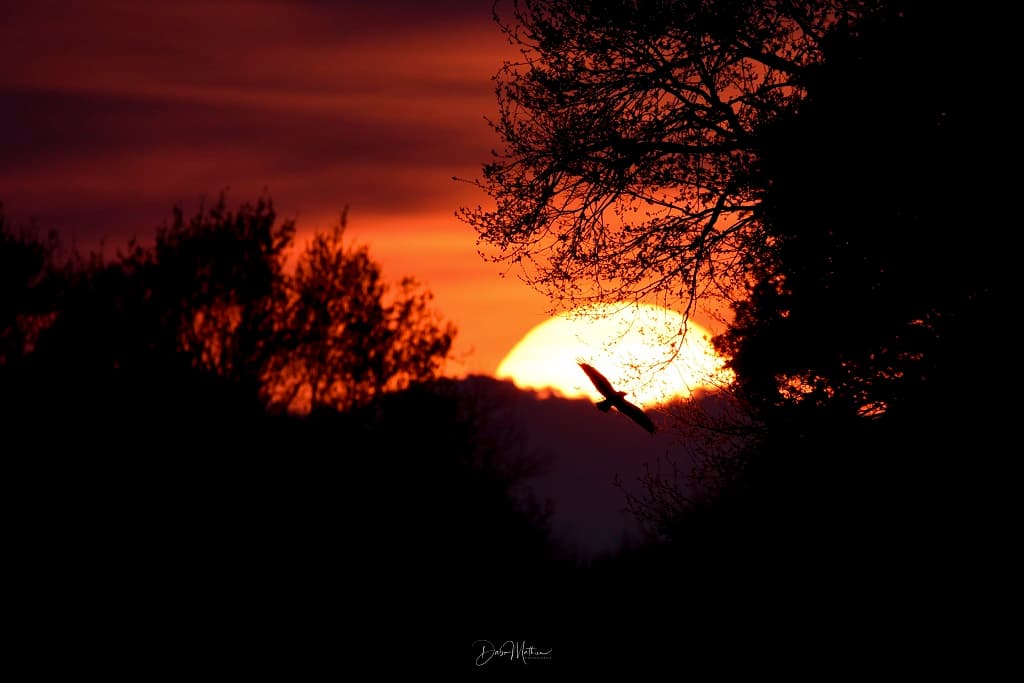 Coucher de soleil