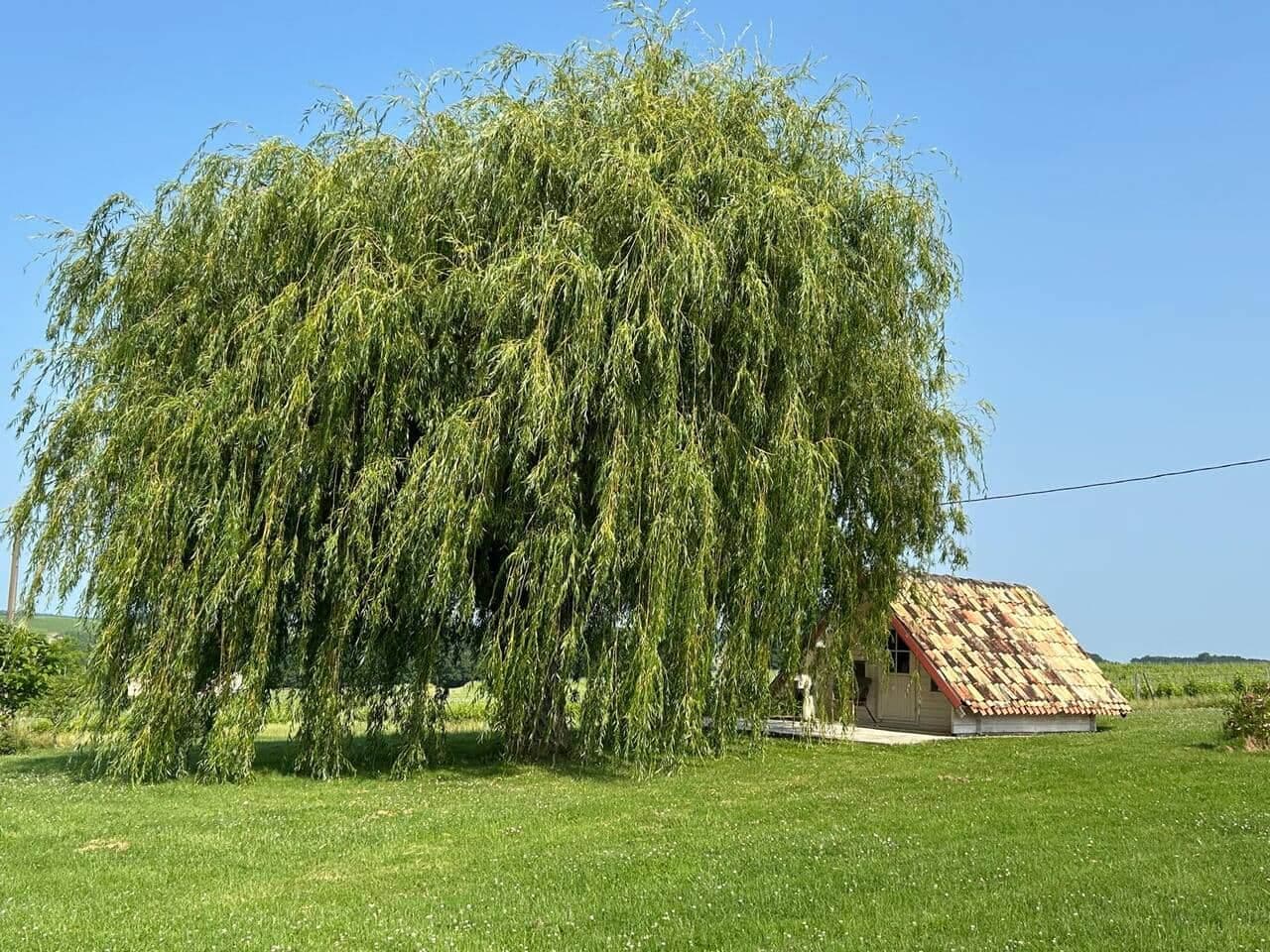 Cruon La Ronde Esclottes cabine