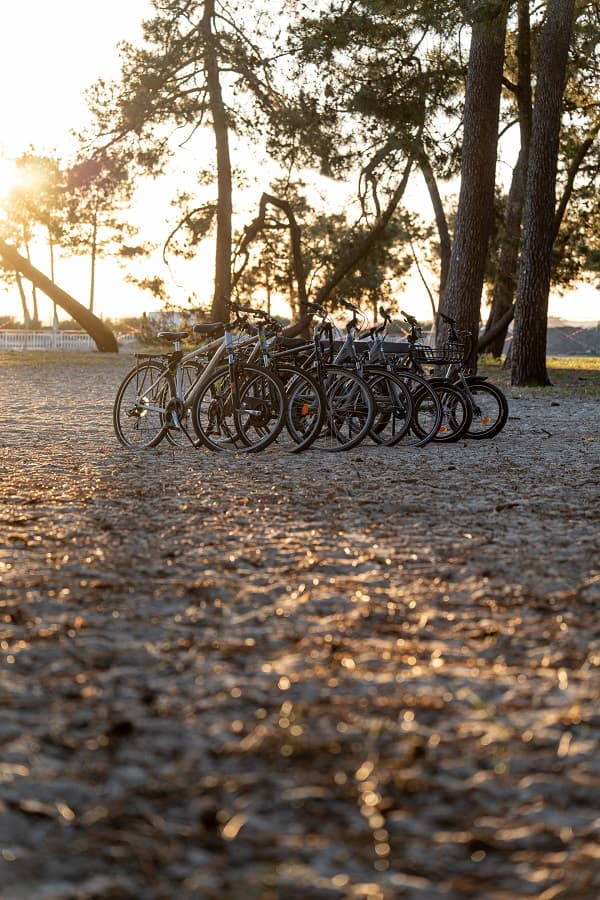 Cycles
