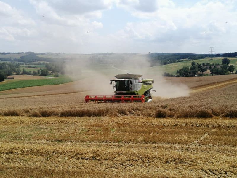 DEG_le rdv des fins gourmets_Verteuil_moissons