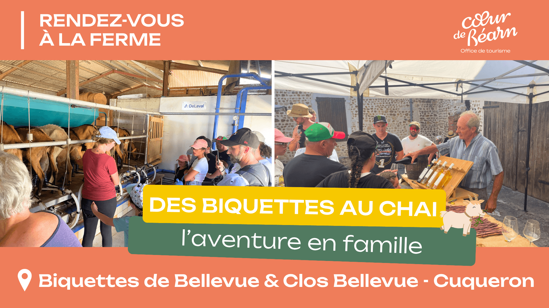 GABARIT HEADER SITE WEB - DES BIQUETTES AU CHAI