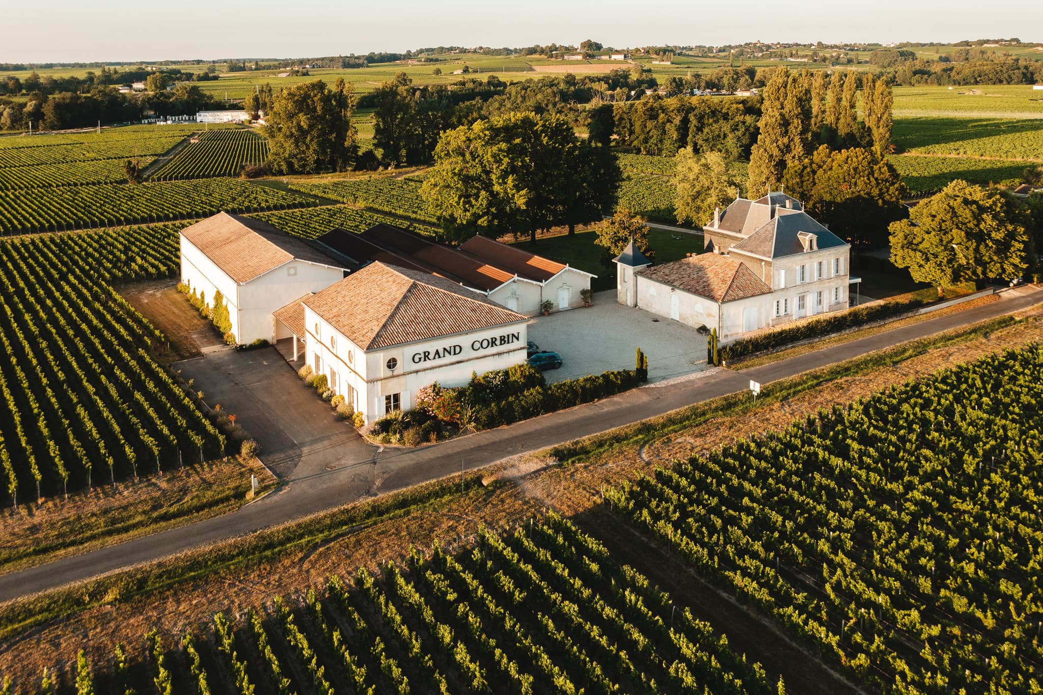 DJI_0356
