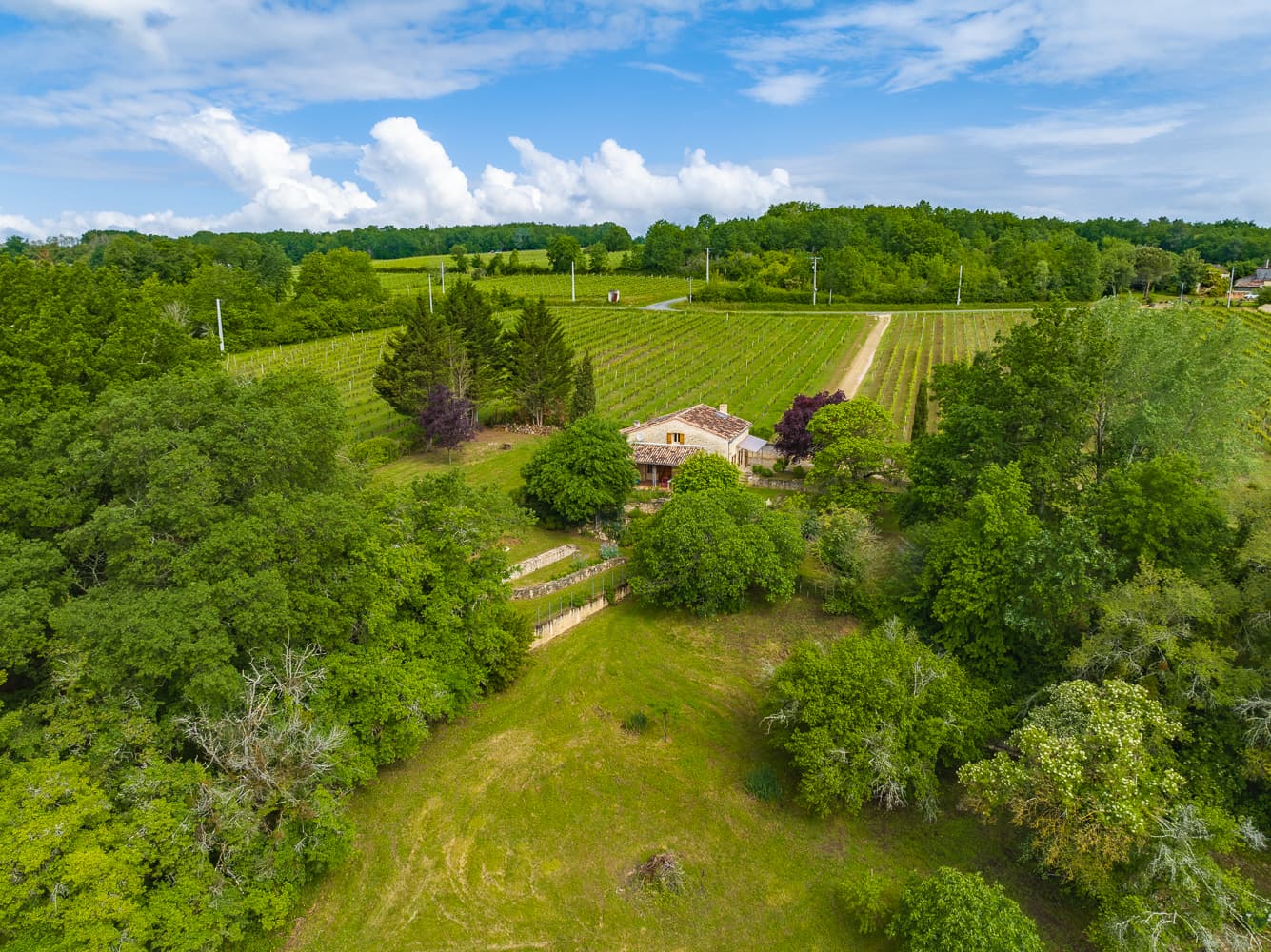 DJI_20230512104213_0073_D-HDR