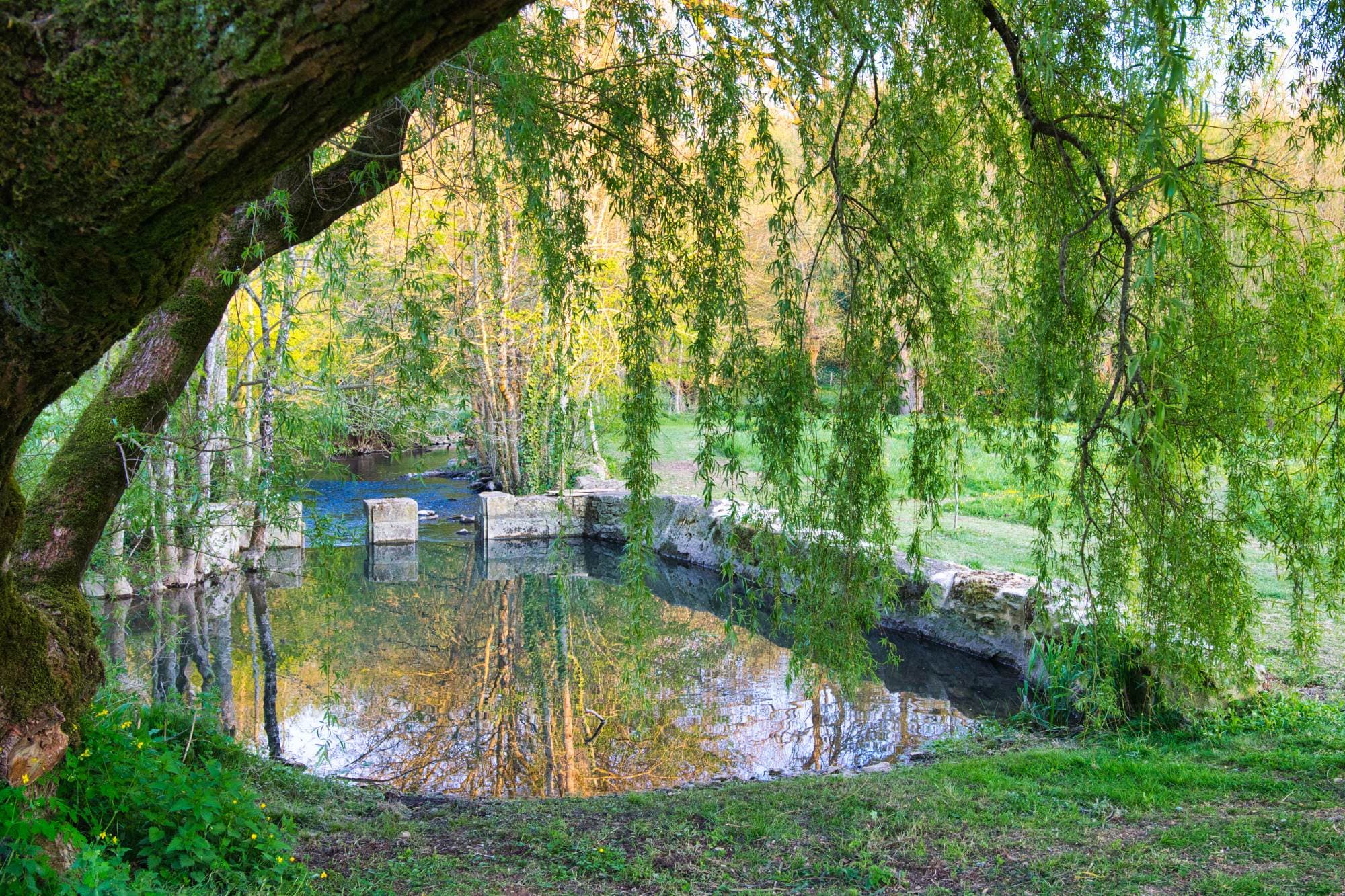 La rivière nous offre la fraicheur grâce à une "petite piscine naturelle".