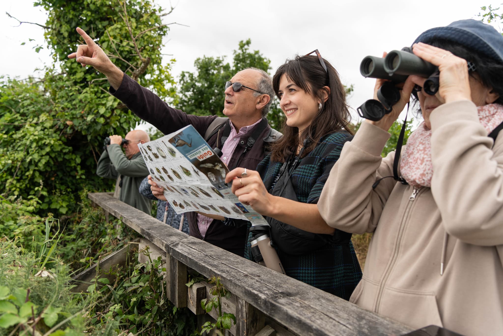 Visite guidée de la Réserve ornithologique du Teich.