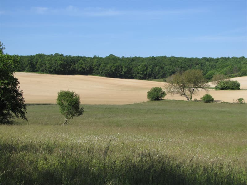 Diversité des cultures assure diversité de l'avifaune